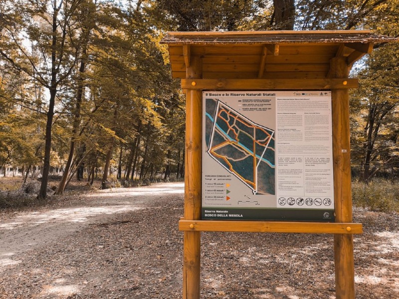 Visitare il Boscone della Mesola
